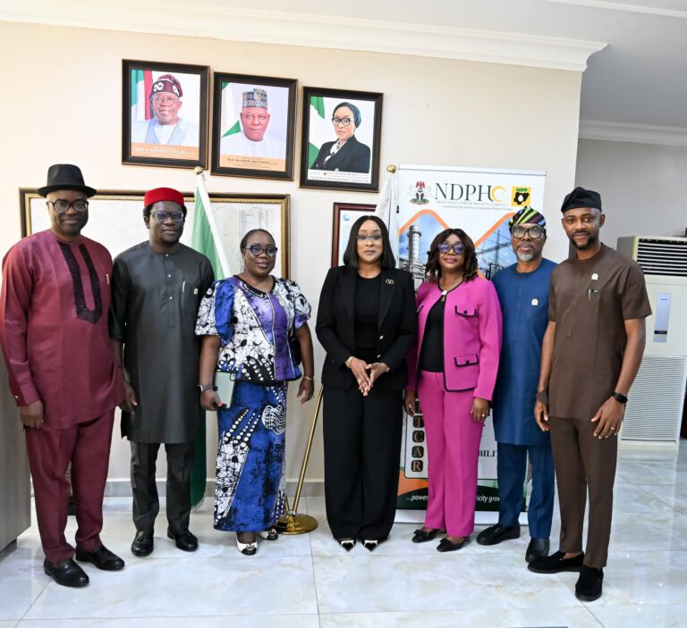 Courtesy call to Niger Delta Power Holding Com